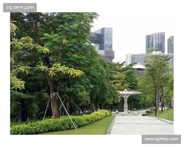 切尔西三亚冬训基地动工打造世界级足球训练中心 切尔西三亚冬训基地动工打造世界级足球训练中心